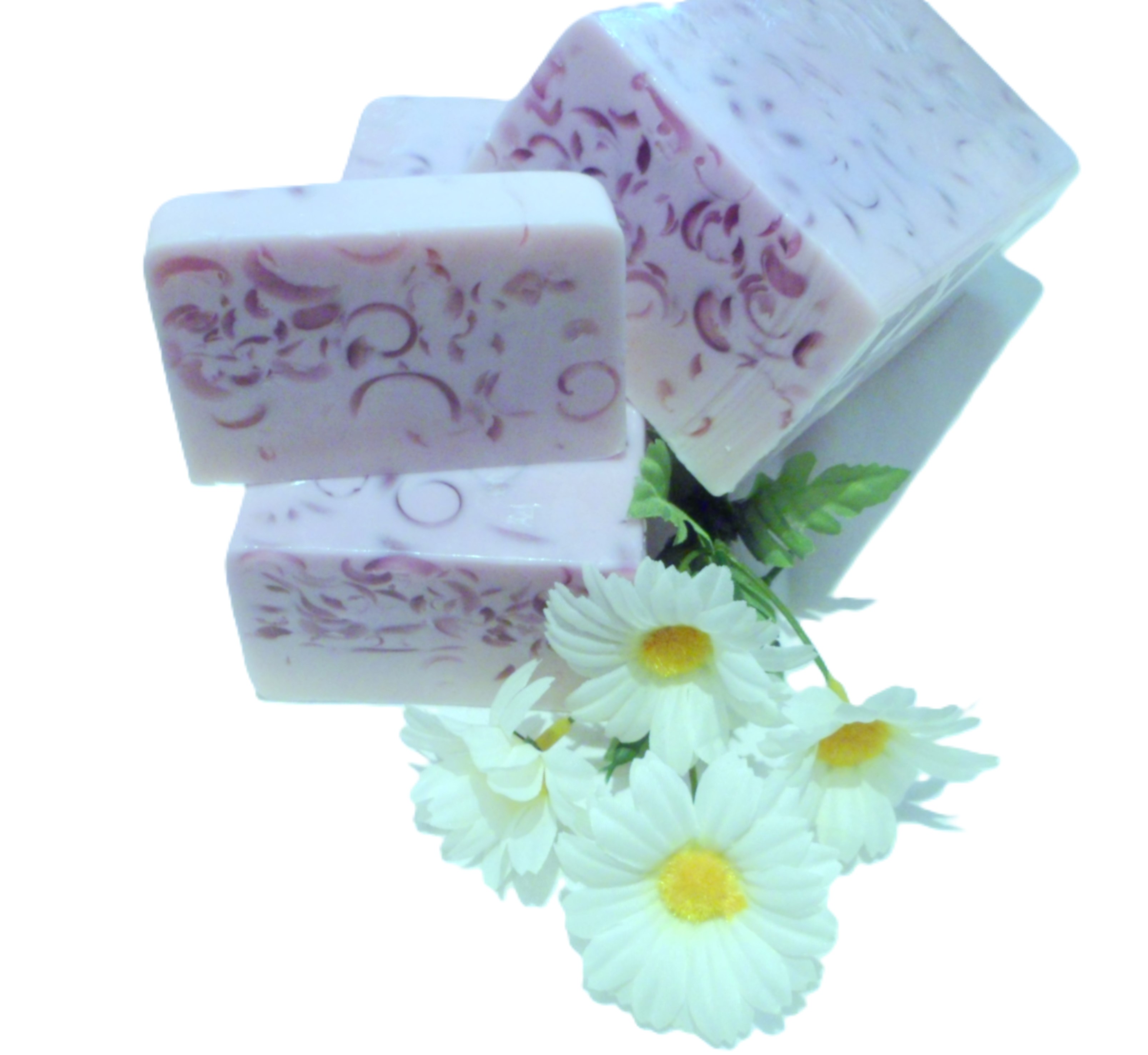 Aromaseife Schwarze Johannesbeere