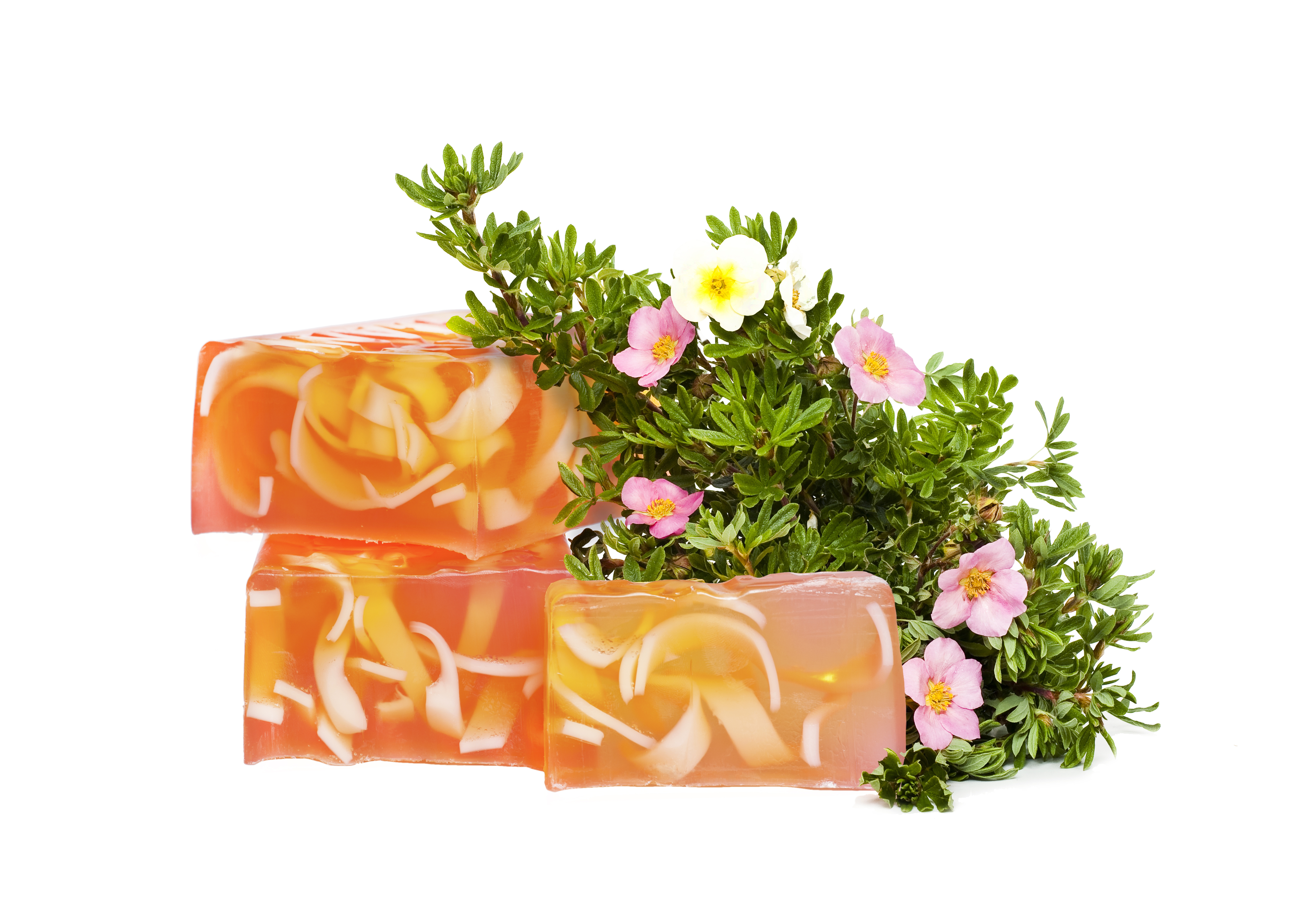 Cremeseife Wilde Rose mit Sheabutter